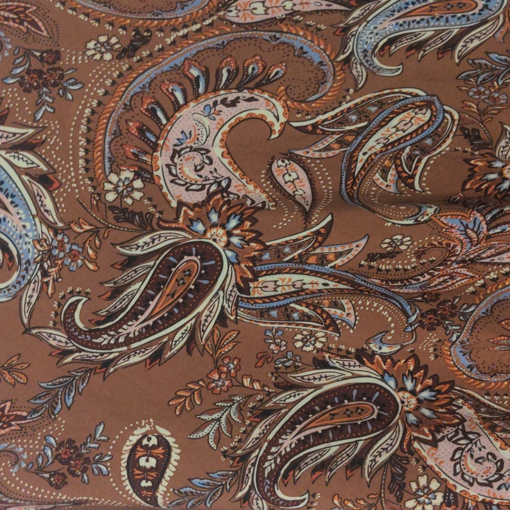 Grace Brown Paisley Midi Skirt - Picture 5 of 7